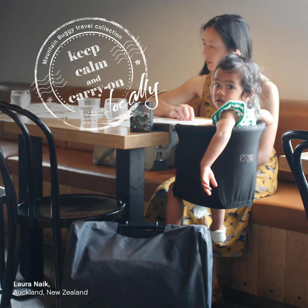 Mountain Buggy Pod High Chair - Flint