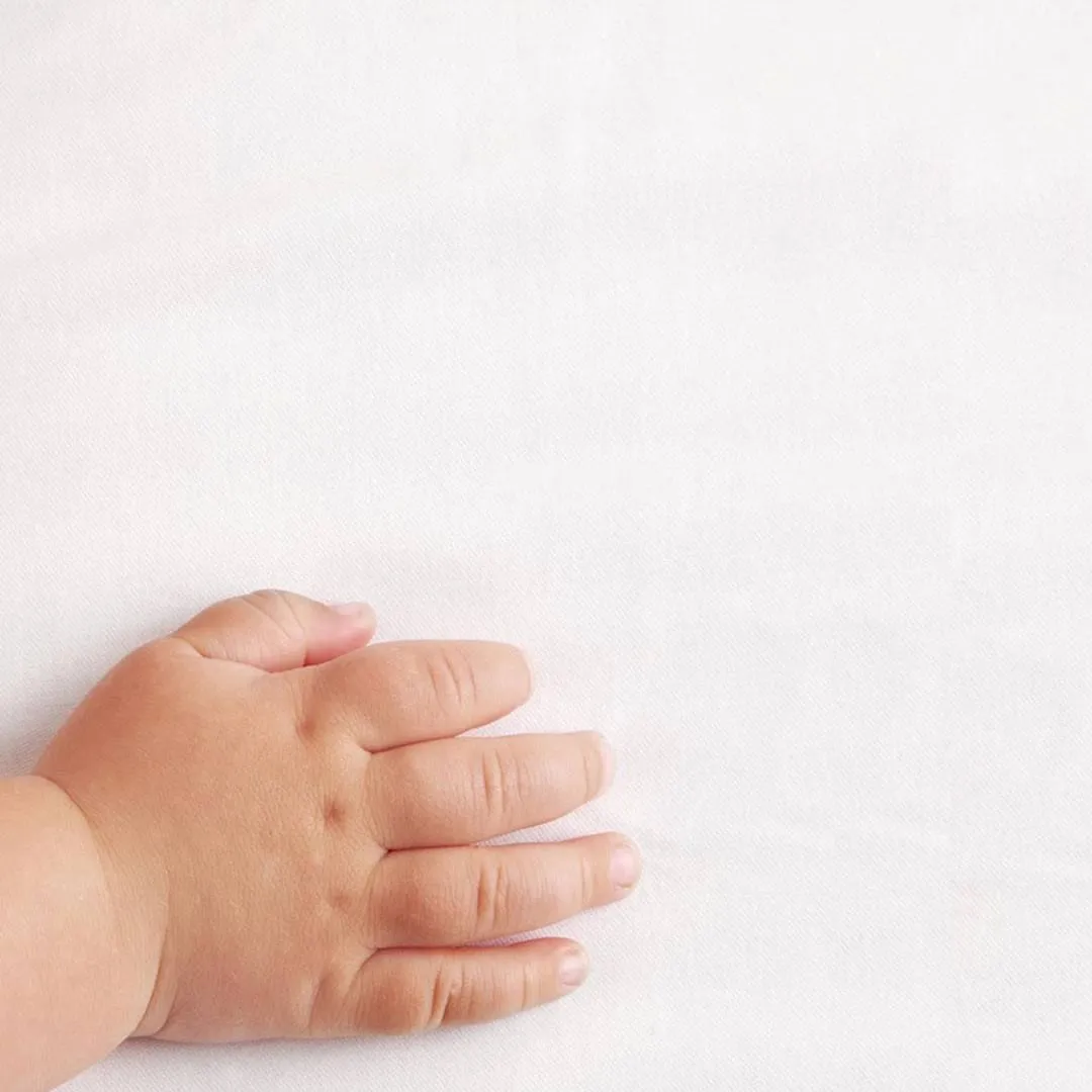 The Little Green Sheep - Organic Jersey Fitted Sheet - Cot